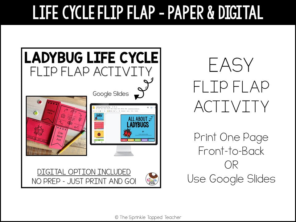 Ladybug Life Cycle Research Project | No Prep Flip Flap – The Sprinkle ...