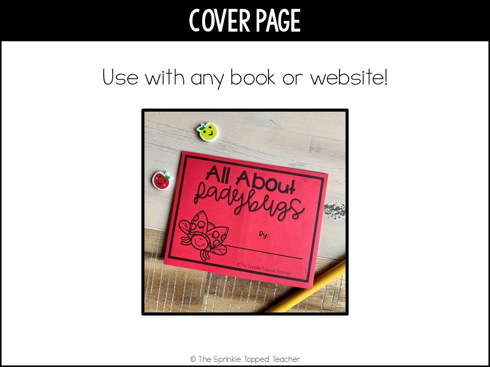Ladybug Life Cycle Research Project | No Prep Flip Flap – The Sprinkle ...