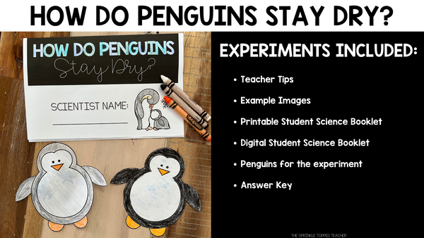 Penguin Science - How Penguins Stay Dry and Warm