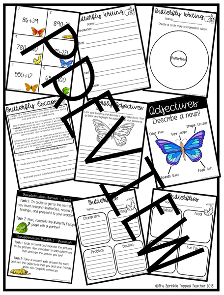 Butterfly Life Cycle Activity | Editable Room Transformation