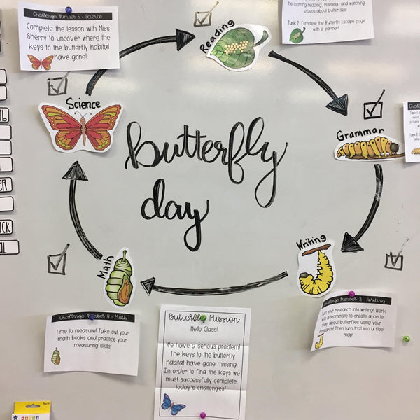 Butterfly Life Cycle Activity | Editable Room Transformation