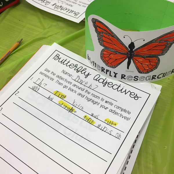 Butterfly Life Cycle Activity | Editable Room Transformation