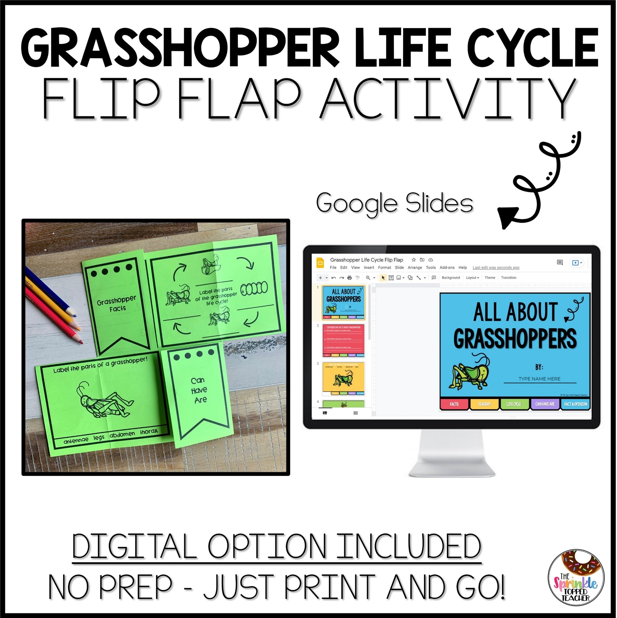 Grasshopper Life Cycle Research Project | No Prep Flip Flap