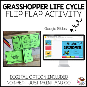 Grasshopper Life Cycle Research Project | No Prep Flip Flap