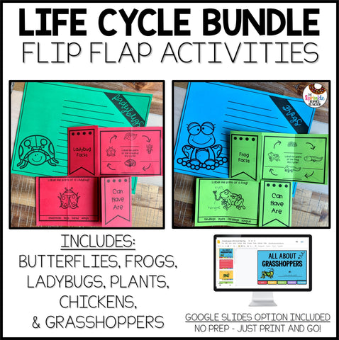 Life Cycles Bundle - Frogs, Butterflies, Chickens, Ladybugs, Plants, Grasshopper