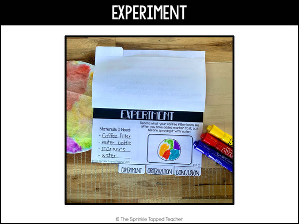 Coffee Filter Digital Science Experiment | Scientific Method