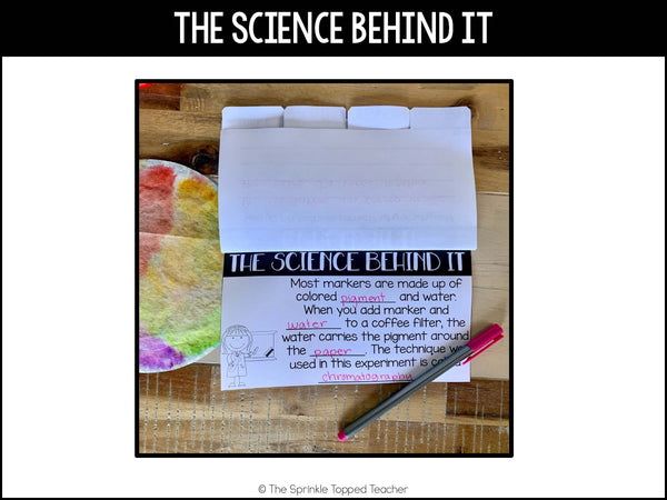 Coffee Filter Digital Science Experiment | Scientific Method