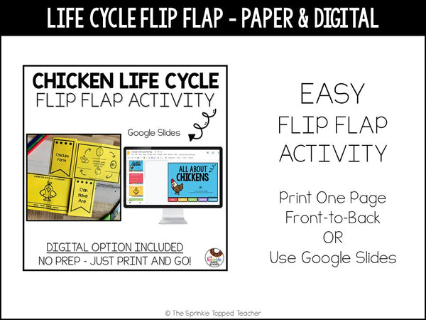 Chicken Life Cycle Research Project | No Prep Flip Flap