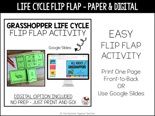 Grasshopper Life Cycle Research Project | No Prep Flip Flap