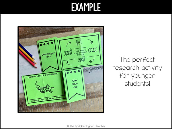 Grasshopper Life Cycle Research Project | No Prep Flip Flap