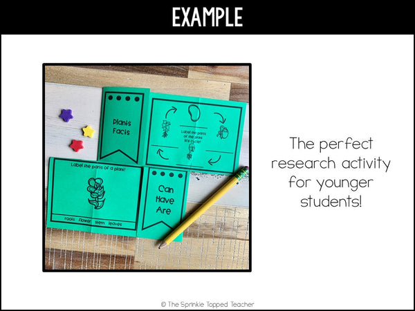 Plant Life Cycle Research Project | No Prep Flip Flap
