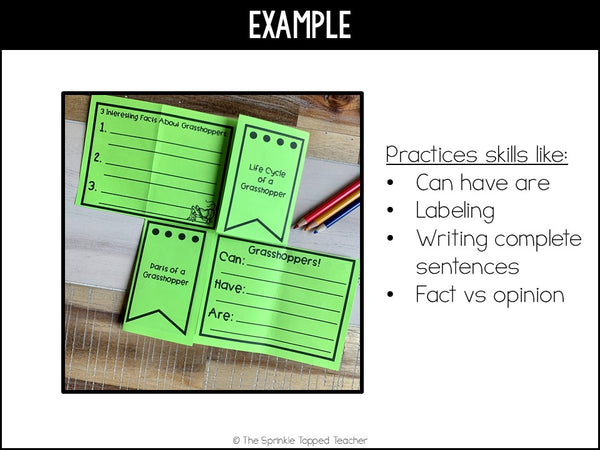 Grasshopper Life Cycle Research Project | No Prep Flip Flap