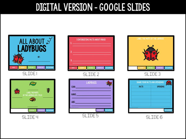 Ladybug Life Cycle Research Project | No Prep Flip Flap