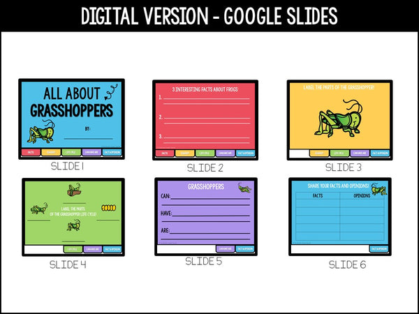 Grasshopper Life Cycle Research Project | No Prep Flip Flap