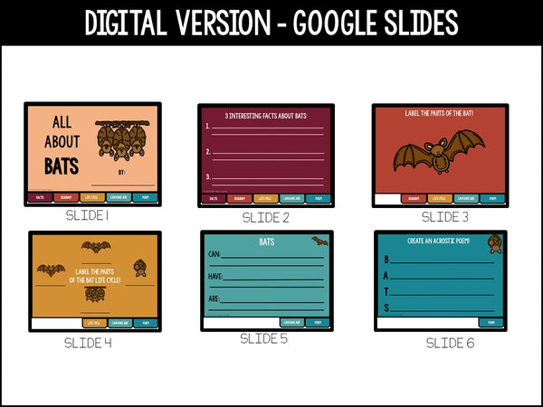 Bat Research Project | No Prep Flip Flap | Digital | Distance Learning