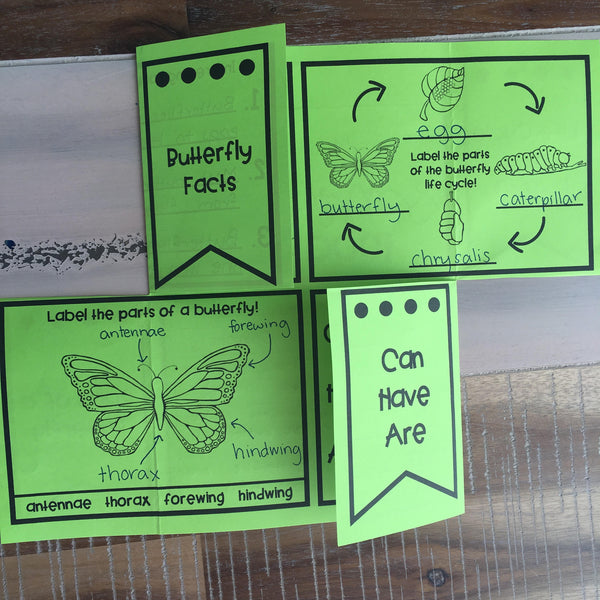 Butterfly Life Cycle Research Project | No Prep Flip Flap