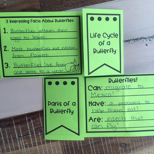 Butterfly Life Cycle Research Project | No Prep Flip Flap